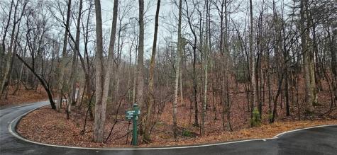 52 Fallen Deer Path Jasper GA 30143