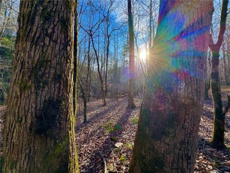 #9 #5 Bethany Road Jasper GA 30143