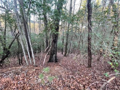 4 Villa Weg Helen GA 30545