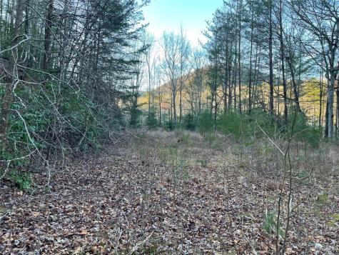 4 Villa Weg Helen GA 30545