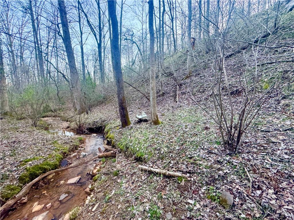 0 Hollybrook Parcel 2 Road Dahlonega GA 30533