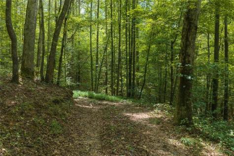 300 Sumac Lane Ellijay GA 30540