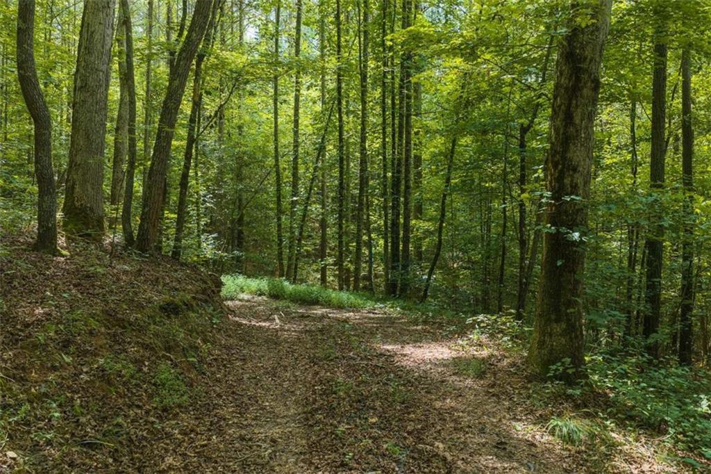 300 Sumac Lane Ellijay GA 30540