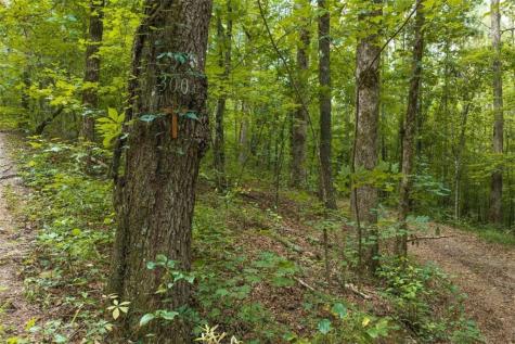 300 Sumac Lane Ellijay GA 30540