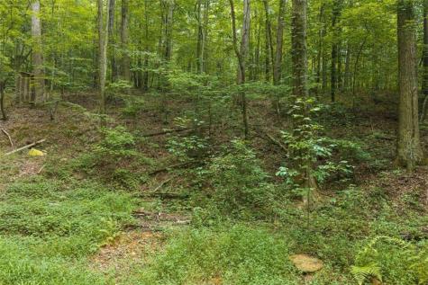 300 Sumac Lane Ellijay GA 30540
