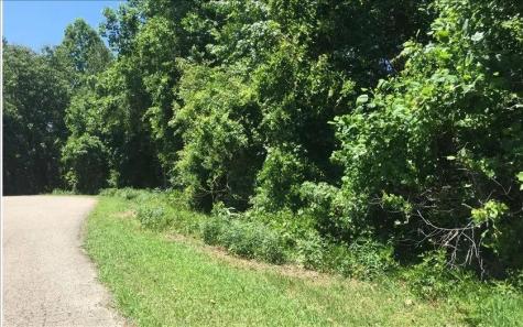 Lot 10 Mill Creek Drive Jasper GA 30143