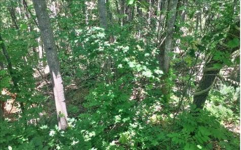 Lot 10 Mill Creek Drive Jasper GA 30143