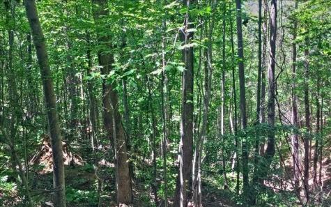 Lot 10 Mill Creek Drive Jasper GA 30143