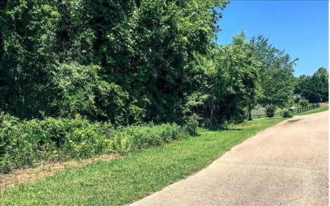 Lot 10 Mill Creek Drive Jasper GA 30143