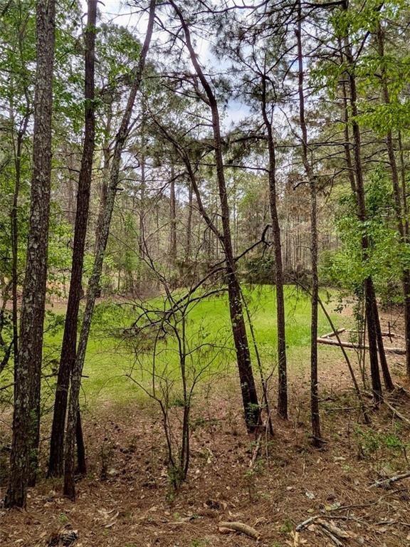 16040 Henderson Road Milton GA 30004