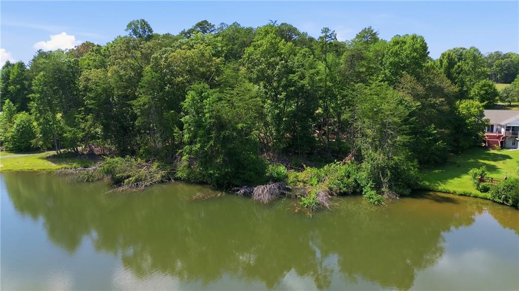 0 Deer Trail Lakes Clarkesville GA 30523