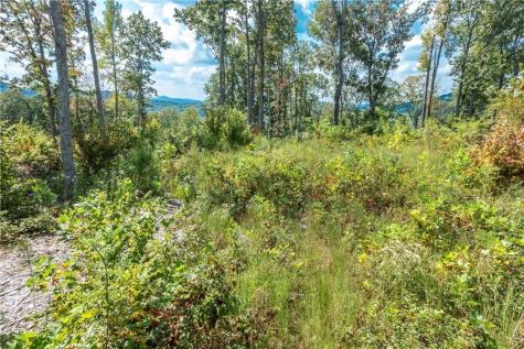 279 Highgrove Drive Talking Rock GA 30175