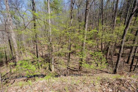 0 Laurel Trail Suches GA 30572