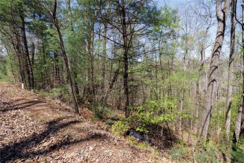 0 Laurel Trail Suches GA 30572