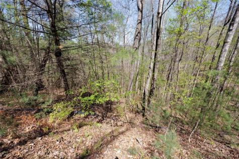 0 Laurel Trail Suches GA 30572