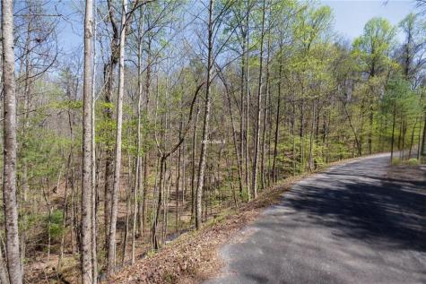 0 Laurel Trail Suches GA 30572