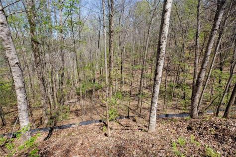 0 Laurel Trail Suches GA 30572