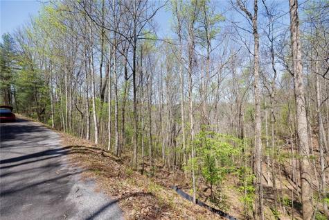 0 Laurel Trail Suches GA 30572