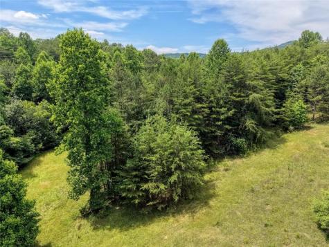 Lot 13 Porter Place Blairsville GA 30512
