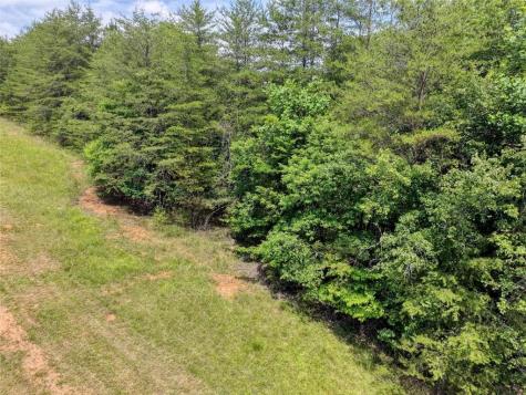 Lot 13 Porter Place Blairsville GA 30512