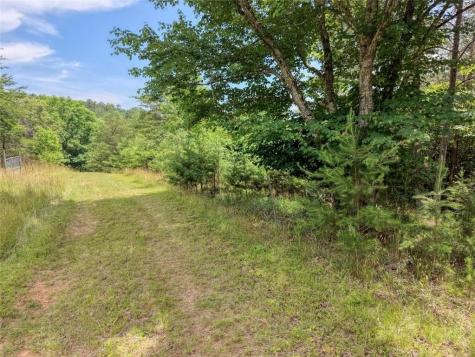 Lot 13 Porter Place Blairsville GA 30512