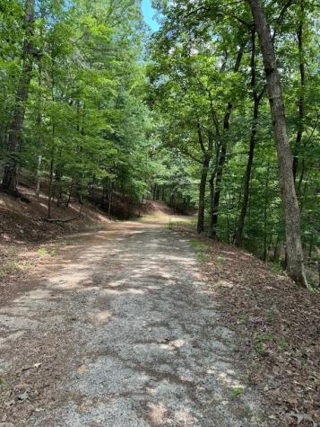 484 Star Lake Lane Sautee Nacoochee GA 30571