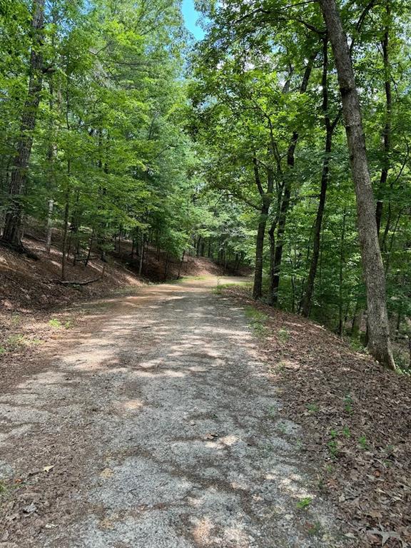 484 Star Lake Lane Sautee Nacoochee GA 30571