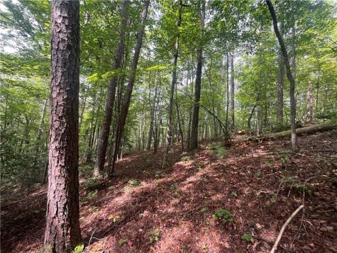 0 Nugget Court Ellijay GA 30540