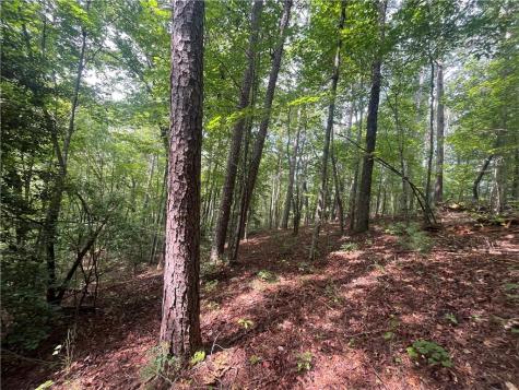 0 Nugget Court Ellijay GA 30540