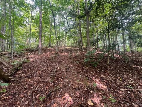 0 Nugget Court Ellijay GA 30540