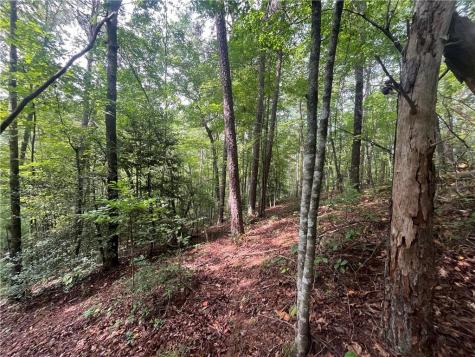 0 Nugget Court Ellijay GA 30540