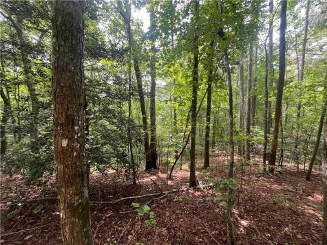 0 Nugget Court Ellijay GA 30540