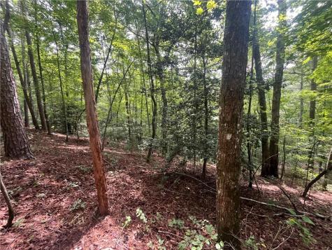 0 Nugget Court Ellijay GA 30540