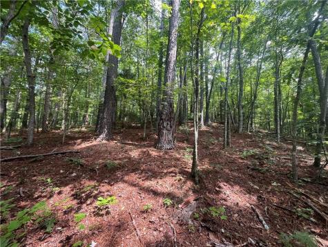 0 Nugget Court Ellijay GA 30540