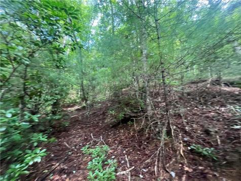 0 Nugget Court Ellijay GA 30540