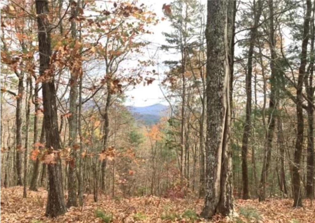 Lot 17 Abbott Mill Ellijay GA 30540