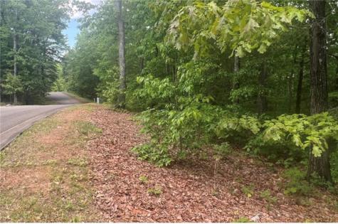 Lot 17 Abbott Mill Ellijay GA 30540
