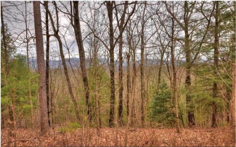 Lot 17 Abbott Mill Ellijay GA 30540