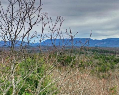 Lot 17 Abbott Mill Ellijay GA 30540