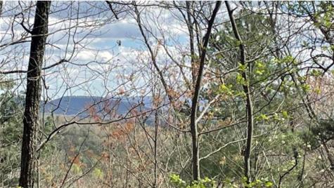 Lot 17 Abbott Mill Ellijay GA 30540