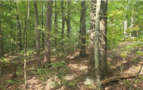 Lot 17 Abbott Mill Ellijay GA 30540