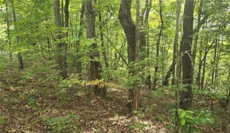 Lot 17 Abbott Mill Ellijay GA 30540