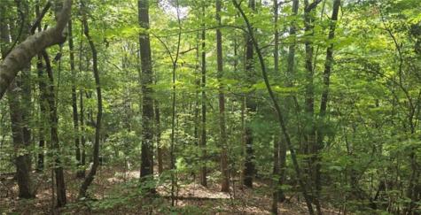 Lot 17 Abbott Mill Ellijay GA 30540