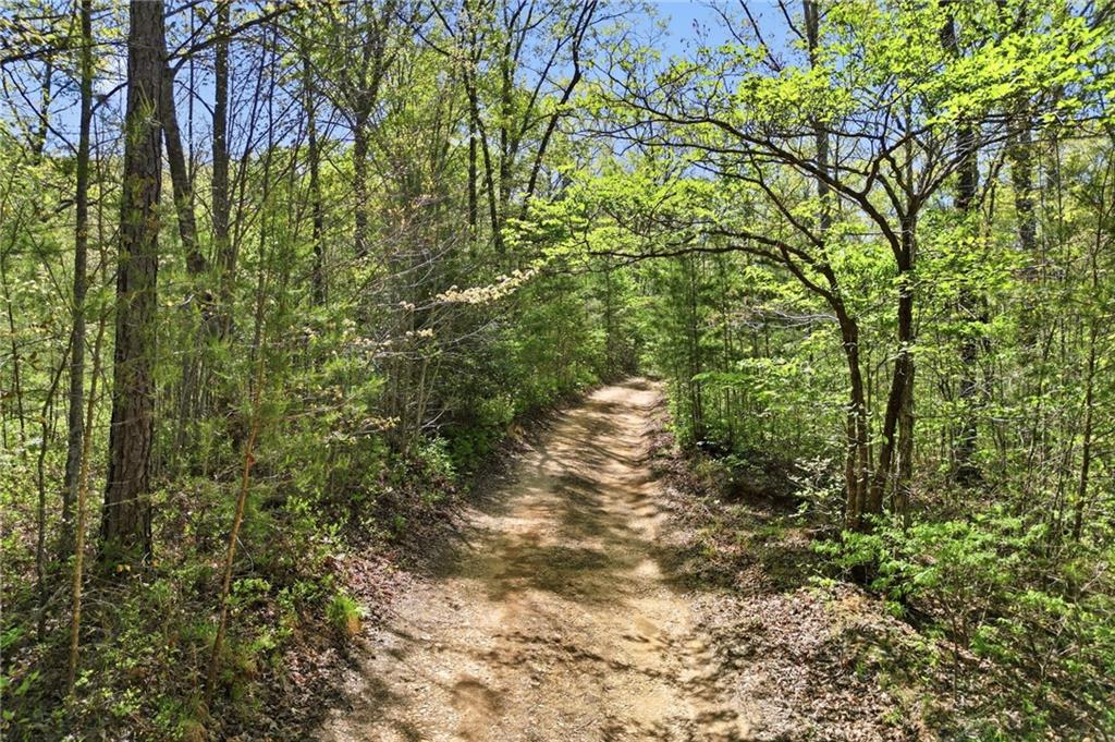 1933 Highway 136 W Talking Rock GA 30175