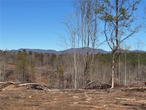 475 Larmon Forks Dahlonega GA 30533