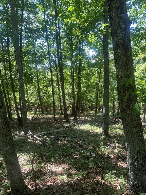0 Owl Ridge Way Jasper GA 30143