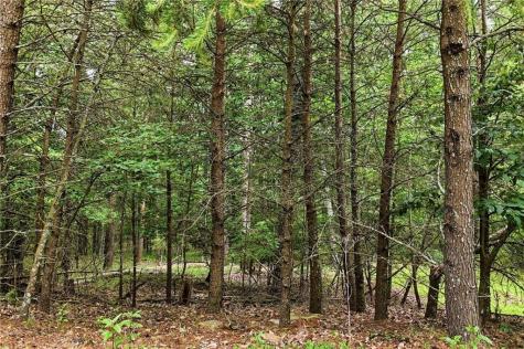 0 Owl Ridge Way Jasper GA 30143
