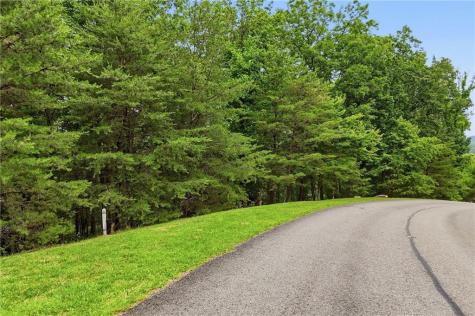 0 Owl Ridge Way Jasper GA 30143