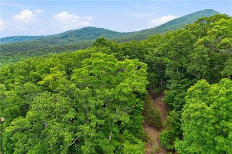 0 Owl Ridge Way Jasper GA 30143