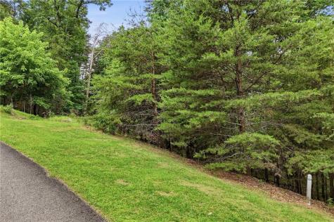 0 Owl Ridge Way Jasper GA 30143
